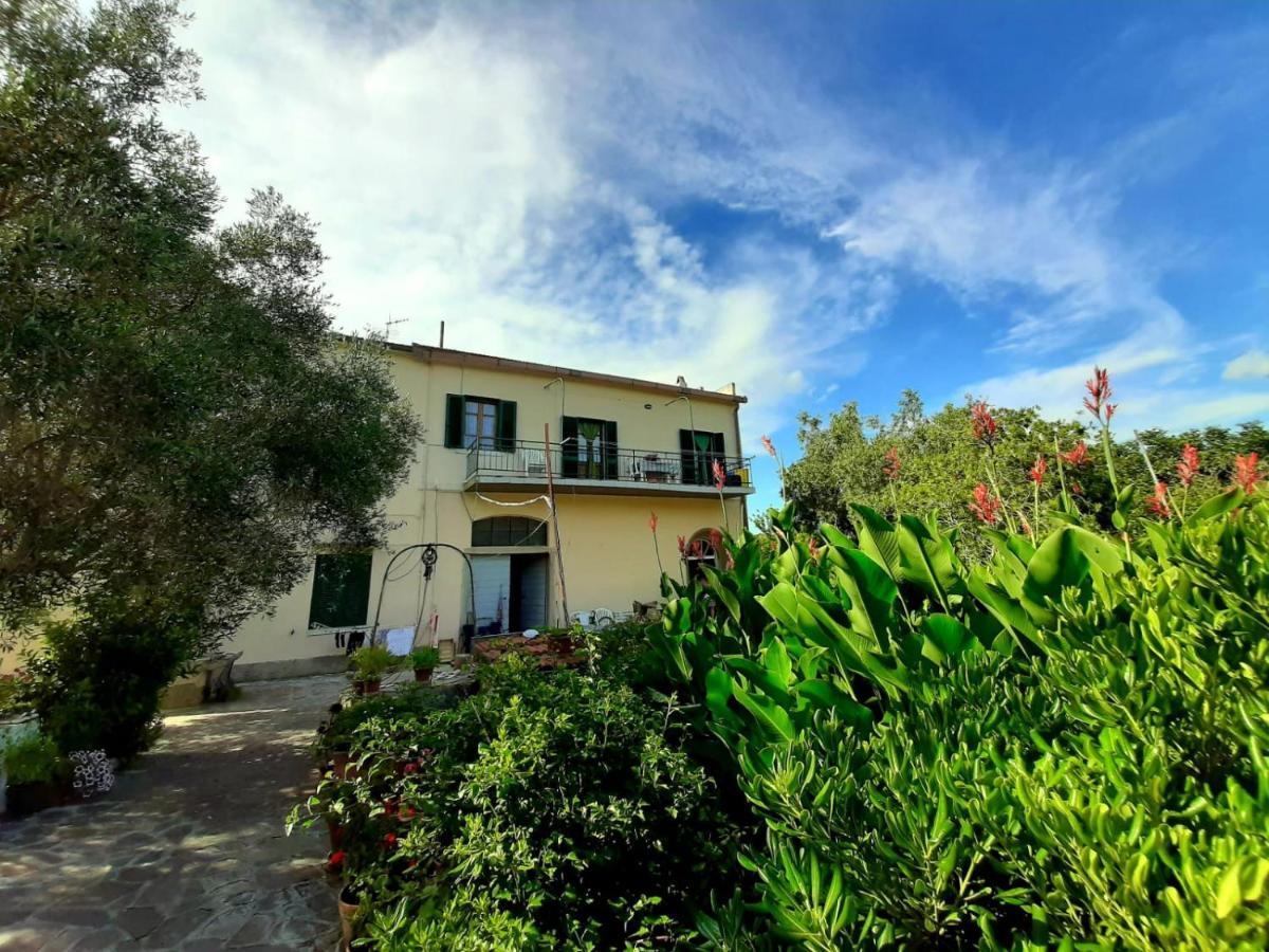 Villa Very II Марина ди Кампо Стая снимка
